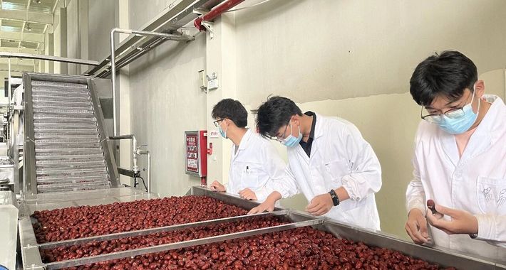 实验室青苗破土 产业链繁花竞开 