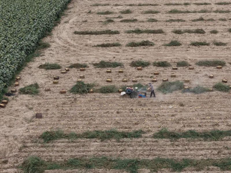 一牧场1