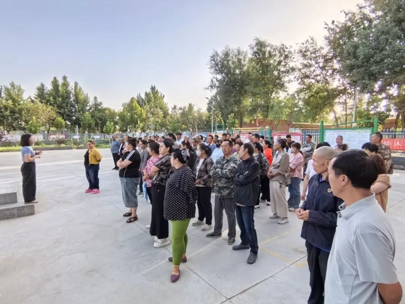 图片12