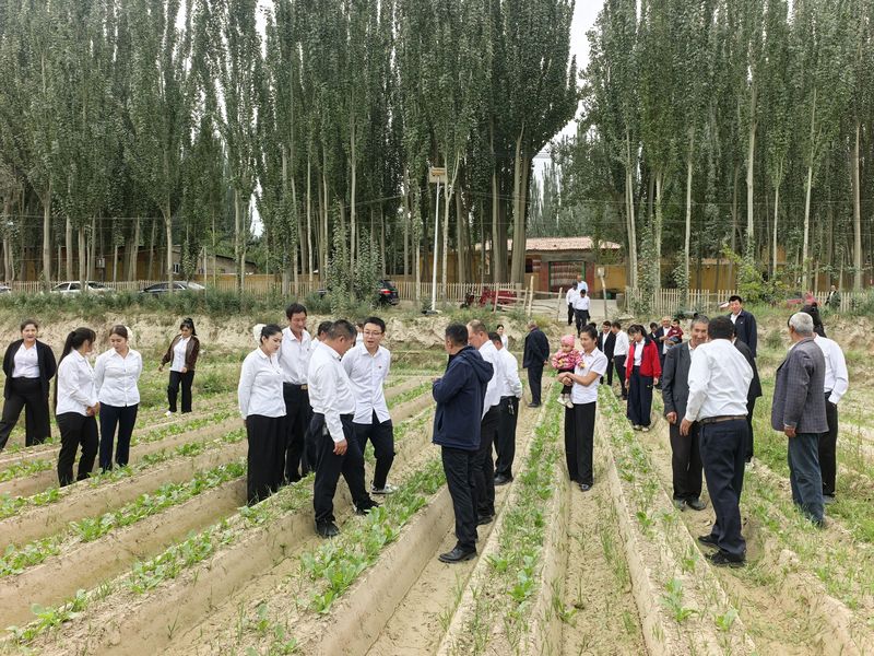 一牧场2