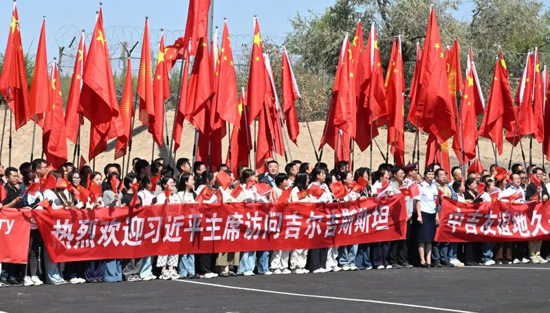 图片5