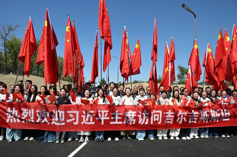 图片8