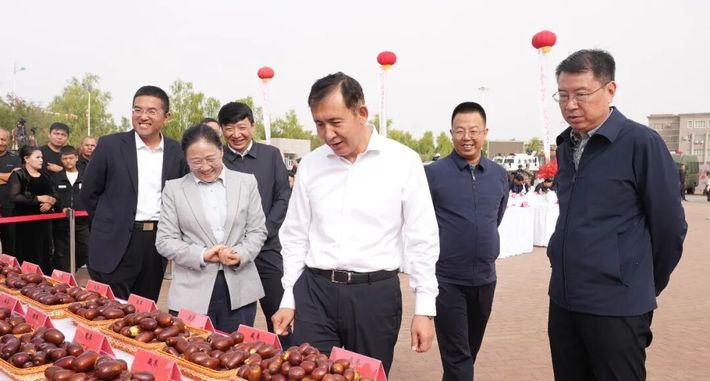 枣香迎丰收 实干促振兴——第十四师昆玉市举办2026年中国农民丰收节主场活动