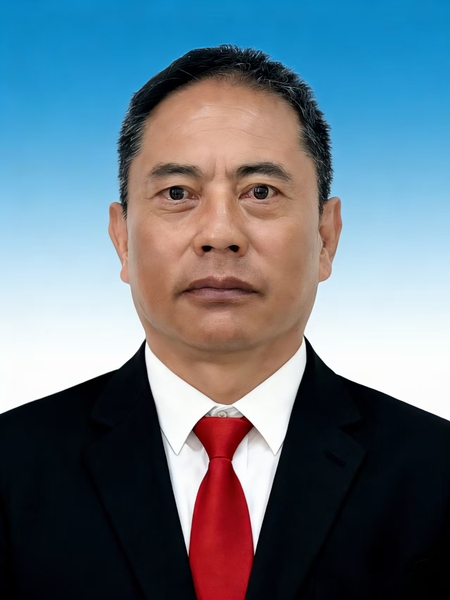 贺伟