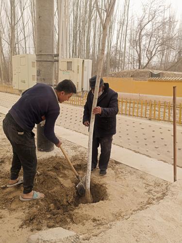 兵地融情  共植绿色家园4月14日IMG_20200414_103159