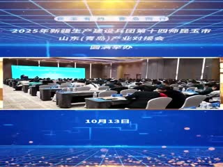 2025年新疆生产建设兵团第十四师昆玉市山东（青岛）产业对接会圆满举办