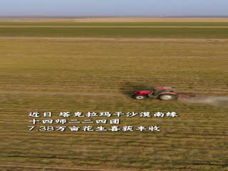近日，塔克拉玛干沙漠南缘，十四师二二四团7.38万亩花生喜获丰收！ 