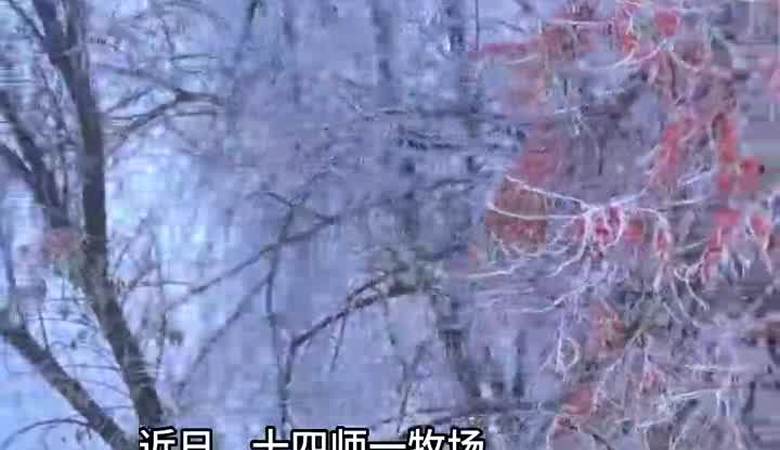 近日十四师一牧场塔克拉玛干沙漠和昆仑山之间 竟藏着整个冬天最梦幻的雾凇